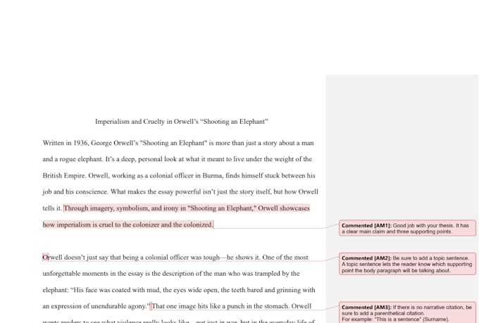 provide thoughtful essay feedback